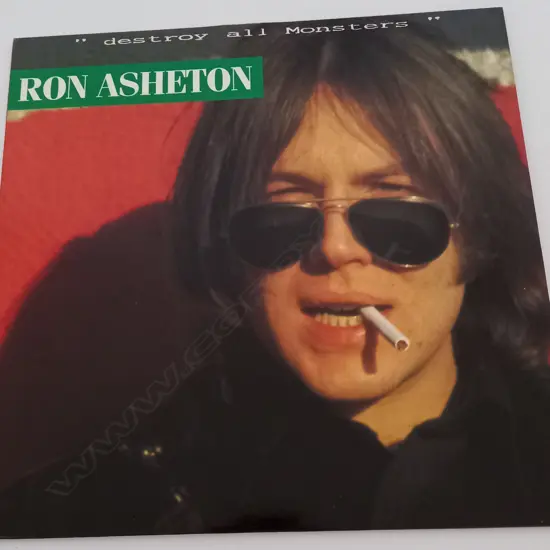 Ron Asheton, Destroy all Monsters